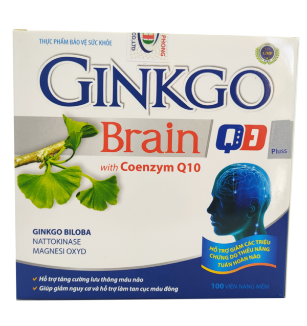 Ginkgo Brain QĐ - Giúp hoạt huyết, tăng cường lưu thông máu. chothuoctay