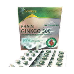 Brain Ginkgo 500 - Giúp hoạt huyết, tăng cường lưu thông máu, chothuoctay