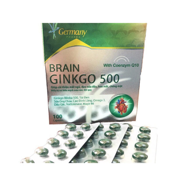 Brain Ginkgo 500 - Giúp hoạt huyết, tăng cường lưu thông máu, chothuoctay