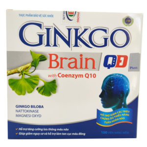 Ginkgo Brain QĐ - Giúp hoạt huyết, tăng cường lưu thông máu. chothuoctay