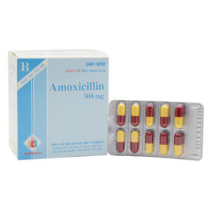 Amoxicillin 500mg - Thuốc kháng sinh điều trị các trường hợp nhiễm khuẩn chotuoctay