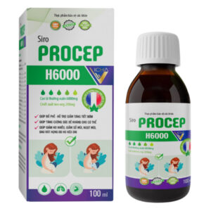 Siro PROCEP H6000 - Hỗ trợ bổ phế, giảm tăng tiết đờm. chothuoctay