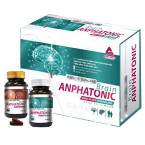 Hoạt huyết dưỡng não Brain Anphatonic - Hỗ trợ cải thiện các triệu chứng sau tai biến, chothuoctay.com