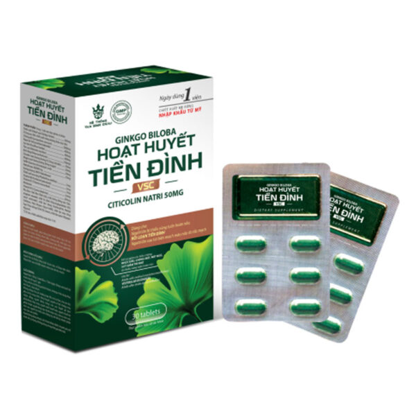 GINKGO BILOBA HOẠT HUYẾT TIỀN ĐÌNH - Hỗ trợ hoạt huyết, tăng tuần hoàn máu não.