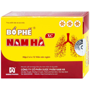 Thuốc Ho Bổ Phế Nam Hà Ngậm tiêu đờm, bổ phổi, sát trùng họng (2 vỉ x 12 viên)