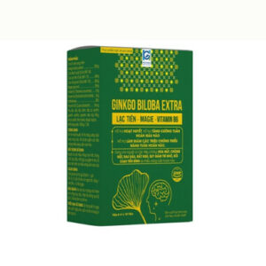 Thực phẩm bảo vệ sức khoẻ GINKGO BILOBA EXTRA hộp/60v