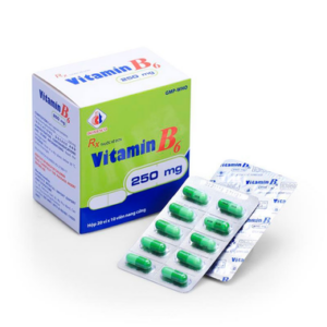 Thuốc Vitamin B6 250mg Domesco điều trị thiếu máu (20 vỉ x 10 viên)